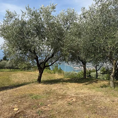 Monteluna
